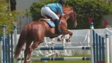 Concours Gingin