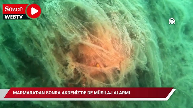 Marmara'dan sonra Akdeniz’de de müsilaj alarmı