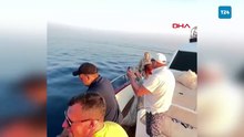 Alanya'da yunuslar tekneye eşlik etti, turistler izledi