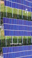 Le Désert du Kubuqi Cache le Futur de l’Énergie Solaire 🏜️☀️