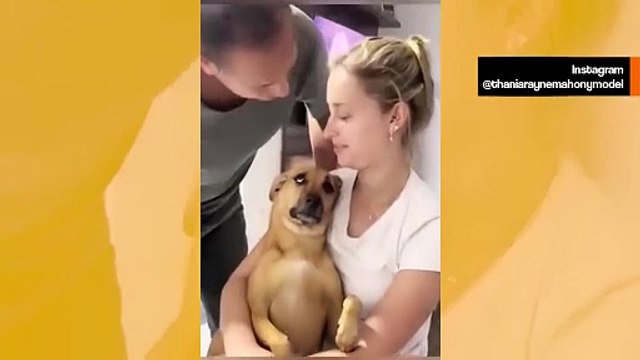 Hauska video näyttää koirien mustasukkaiset reaktiot