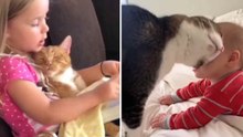 Schattige video toont tedere momenten tussen baby’s en katten