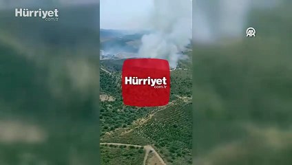 İzmir'de ormanlık alanda yangın
