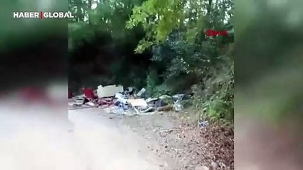 Sakarya’da kurban atıkları ormana atıldı