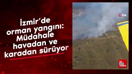 İzmir'de orman yangını: Müdahale havadan ve karadan sürüyor