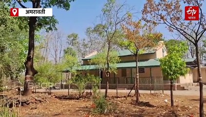 मेळघाटात 163 वर्षांचं वन विश्रामगृह; दोन वेळा नूतनीकरण तरीही इंग्रजकालीन फील कायम!