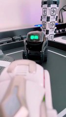 Vector and Cozmo do a fistpump #robot #vector #cozmo
