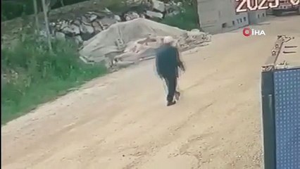 Yayla yolunda kayboldu, gece boyunca devam eden aramalar sürüyor