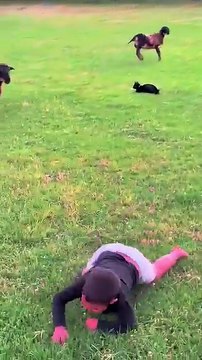 If it weren't for the cat We have feeders and waterers for sheep and rams!