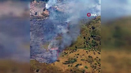 İzmir’de ormanlık arazide çıkan yangın kontrol altında