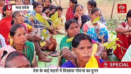 डिंडौरी की मंगला बाई ने बनाई अपनी अलग पहचान, देश-विदेश में बज रहा डंका