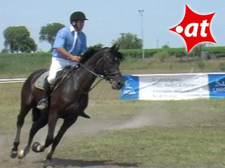 Franz Groß, Springreiten, Burgenland (2007-048)