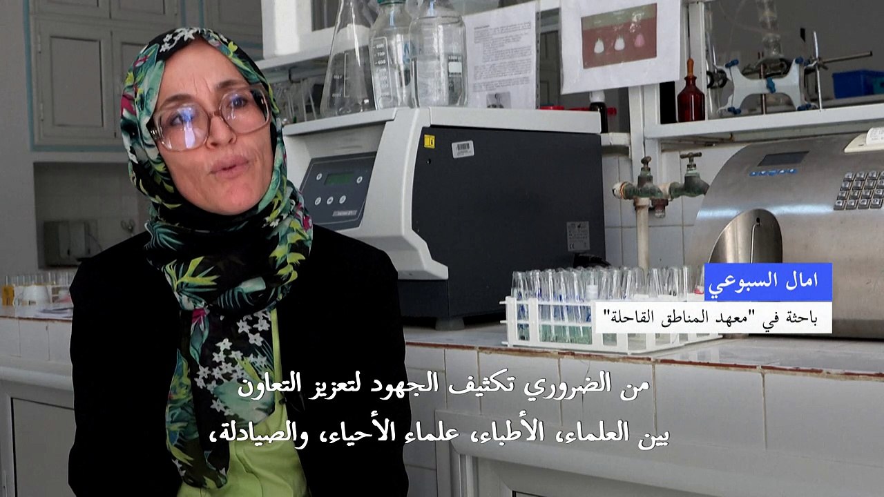 حليب الناقة "ذهب أبيض" لإنعاش مناطق مهمّشة في تونس