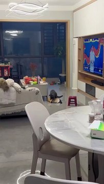 😹😂#Funny #Comedy #LOL #Hilarious #Humor #LaughOutLoud #SketchComedy #FunnySkits #Parody #Fails #Relatable #MemeLife #JokesOnYou #StandupComedy #FunnyShorts #YouTubeShorts #ShortsFeed #ViralShorts #TryNotToLaugh #DailyLaughs #TooFunny #Sarcasm #DadJokes