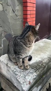 #Funny #Comedy #LOL #Hilarious #Humor #LaughOutLoud #SketchComedy #FunnySkits #Parody #Fails #Relatable #MemeLife #JokesOnYou #StandupComedy #FunnyShorts #YouTubeShorts #ShortsFeed #ViralShorts #TryNotToLaugh #DailyLaughs #TooFunny #Sarcasm #DadJokes #Cri