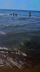 Monte di Procida (NA) - Lido LA FENICE Spiaggia Romana parcheggio gratuito per i clienti. (07.06.25)