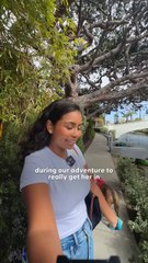 799 Days In a Shelter — Then She Touched Sand for the First Time 🐾🏖️✨