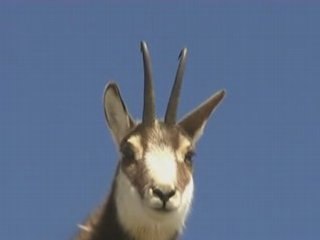 Raid à ski dans le Mercantour