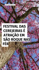 Festival das Cerejeiras é atração em São Roque nas férias