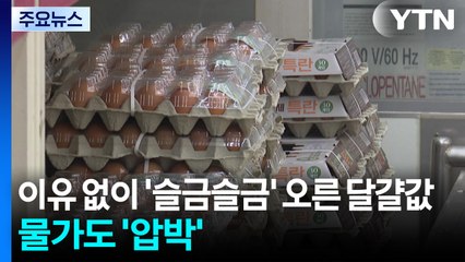 이유 없이 '슬금슬금' 오른 달걀값...물가도 '압박' / YTN