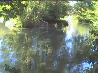 flanerie nature à Tours