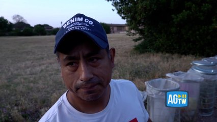 Donna e bambina trovate morte a Roma, le testimonianze: «Si vedeva una gamba e un braccio spuntare da un sacco nero»