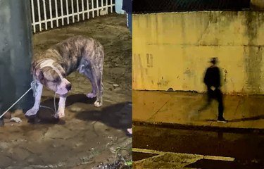 Câmera flagra cachorro correndo atrás de homem no Parque Verde; vítima teve braço e pernas dilacerados