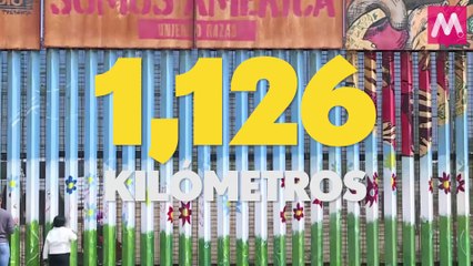 ¿Por qué las políticas de Trump son great?