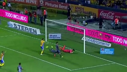 Rompiendo las redes: Gignac, Monterrey y Miloc