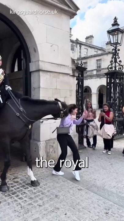This is Why you should Never touch a Royal Guard's Horse