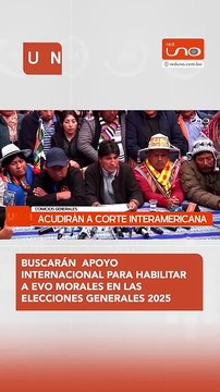 buscarán apoyo internacional para habilitar a evo morales en las elecciones generales 2025
