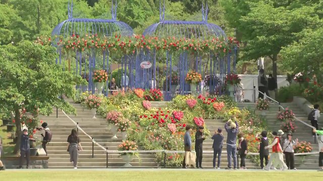 [날씨] 휴일, 30℃ 안팎 한여름 더위...오후 곳곳 소나기 / YTN