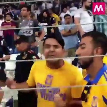 Afición de Tigres: Libres y... ¿conflictivos?