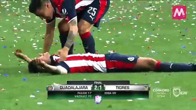 Rompiendo las redes: Chivas, Tigres y Alan Pulido