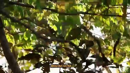 Yean Di Vittu Pona Love Audio Song | Tamil Love Song | Tamil Love Whatsapp Status | Whatsapp Status