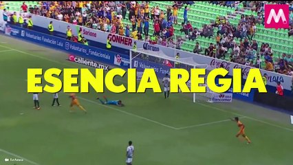 Tigres se inundan de elogios