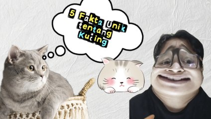 5 Fakta Menarik tentang Kucing: ‘Alien’ yang Menyamar Jadi Hewan Lucu?