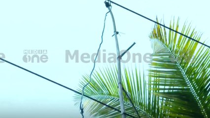 കെണിയിലേക്ക് വൈദ്യുതി എടുത്തത് പോസ്റ്റിൽ നിന്ന് നേരിട്ട്..KSEBയുടെ ശ്രദ്ധയിൽ പെടാത്തത് ഗൗരവതരം