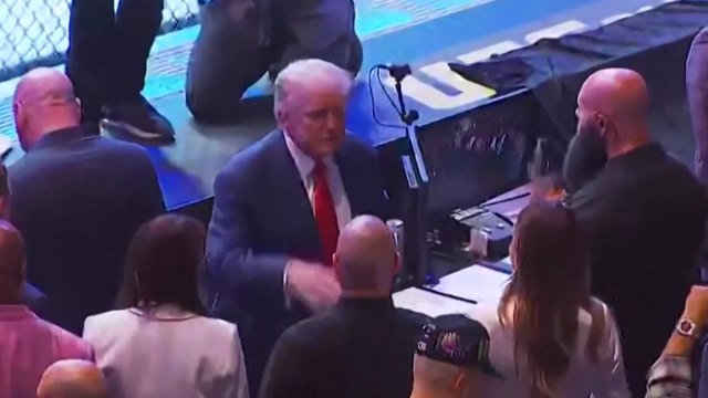 트럼프, 일론 머스크 빼고 UFC 경기 관람 / YTN