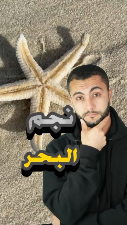 أغرب حيوان يقدر يشوف بدون عيون! 👀😱https://psce.pw/7ppafh#النواة #نجم_البحر#Alnawa #dubai🇦🇪 #Asteroidea #dubailife #trending #travel #nature #wildlife