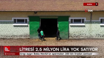 Litresi 2,5 milyon lira yok satıyor