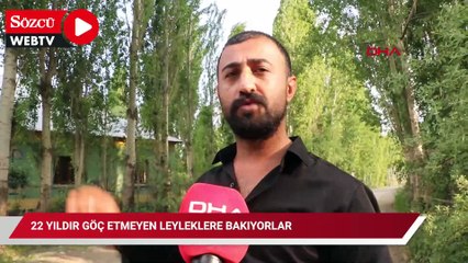 22 yıldır göç etmeyen leyleklere bakıyorlar