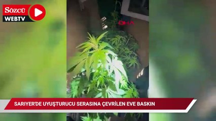 Sarıyer'de uyuşturucu serasına çevrilen eve baskın: Polis kapıyı kırarak açtı