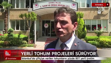 İstanbul’da çiftçiye verilen tohumların yüzde 80’i yerli üretim