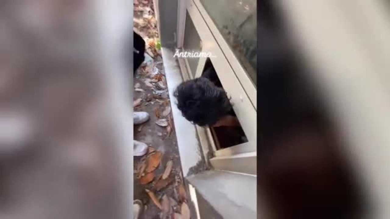 Bolzano, entrano nell’ex liceo Pascoli e rompono stampanti e monitor