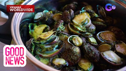 Lamang-dagat na abalone, libre lang daw sa Zambales?! | Good News