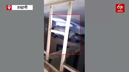 स्कूल में गुलदार घुसने से मचा हड़कंप, वन कर्मियों को छकाता रहा लेपर्ड, खौफजदा हुए लोग