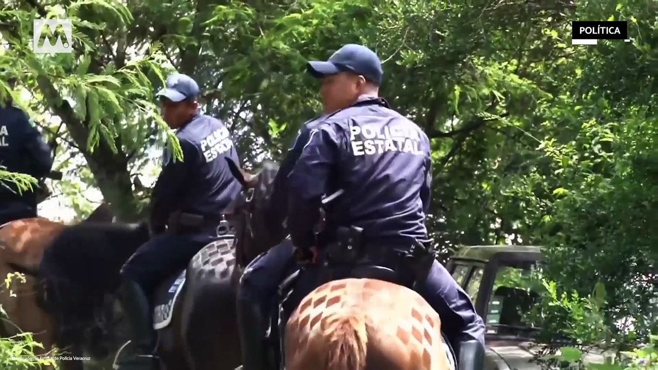 Veracruz: Los inflitrados