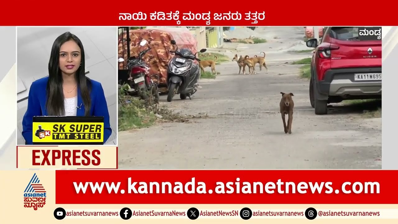 ನಾಯಿ ಕಡಿತಕ್ಕೆ ಮಂಡ್ಯ ಜನರು ತತ್ತರ   | Karnataka News Express | Suvarna News | Kannada News