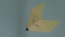 How to Make a Fox Face Origami | Easy Paper Animal Craft
